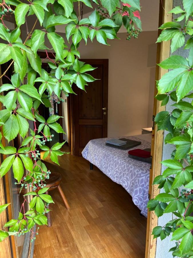 Chalet Blanc "Le Flocon" Courmayeur Exterior photo