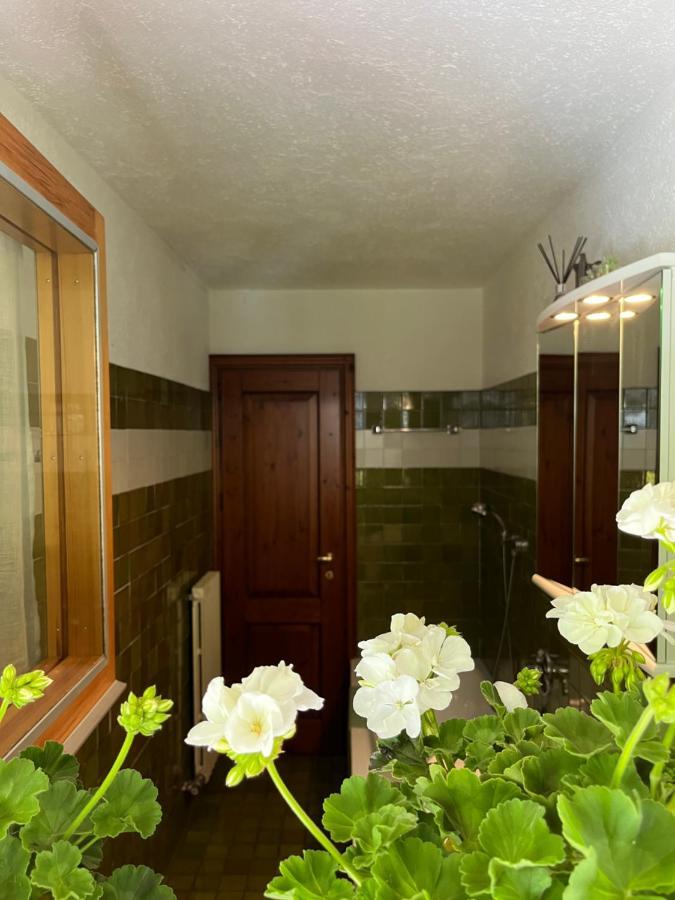 Chalet Blanc "Le Flocon" Courmayeur Exterior photo