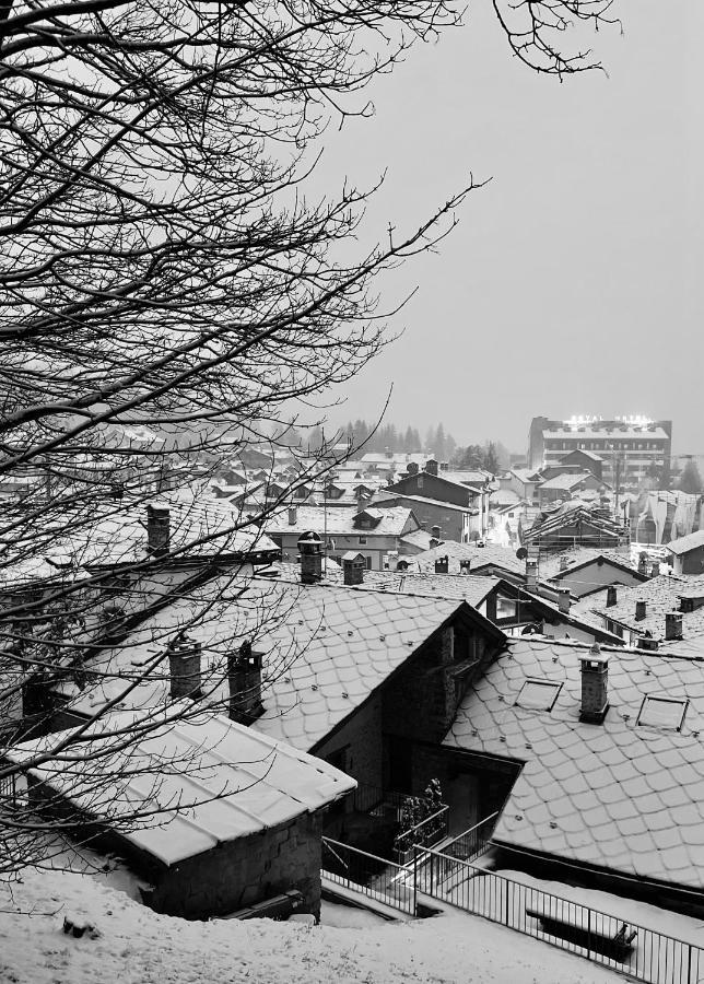 Chalet Blanc "Le Flocon" Courmayeur Exterior photo